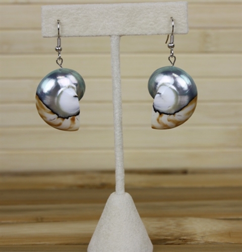Earrings - Pearlized Nautilus Shell - Natural