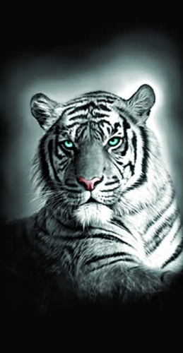 Deluxe Beach Towel – White Tiger