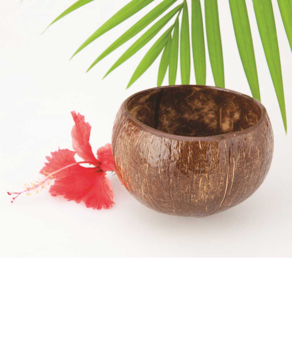 Party Supplies - Coconut Bowl
