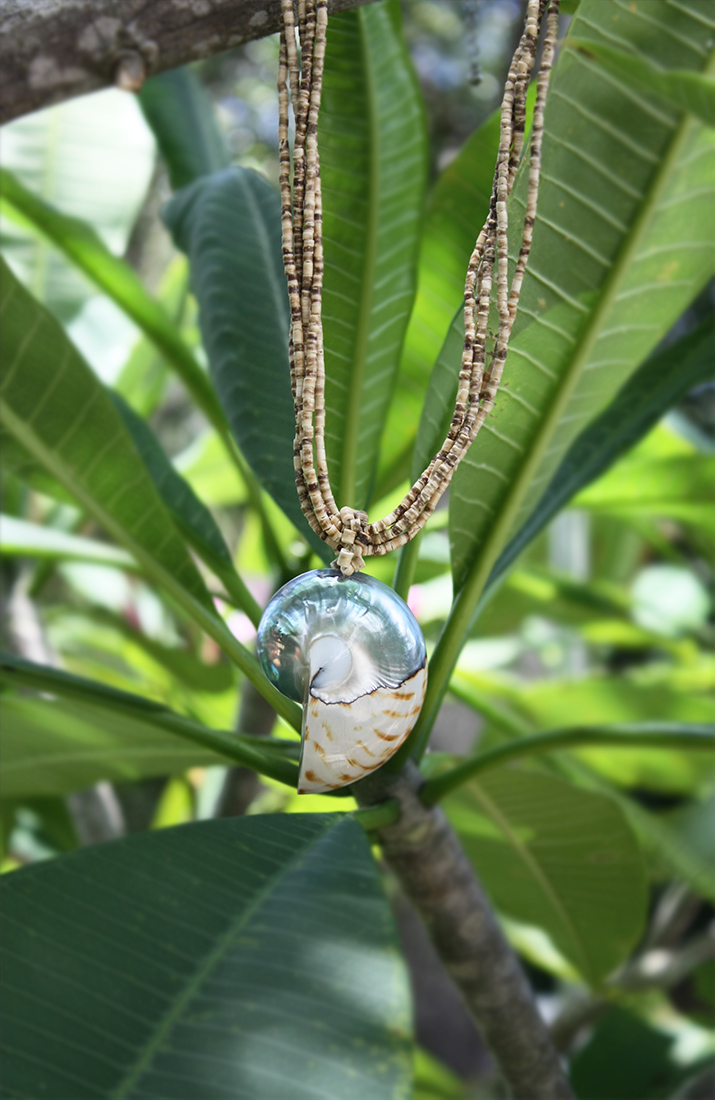 Tropical – Shell Necklace – Kala