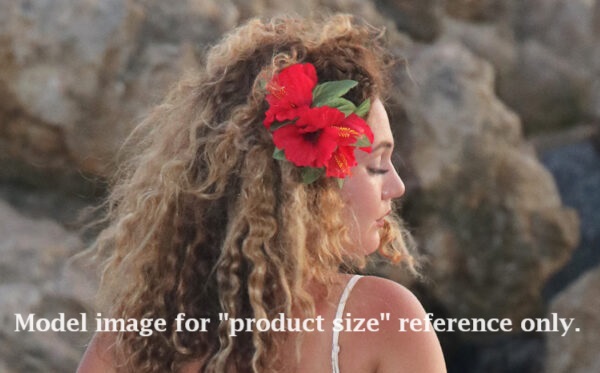 Deluxe-3-flower-hibiscus-hair-flower-with-gator-clip-model-image-for-sample-sizing